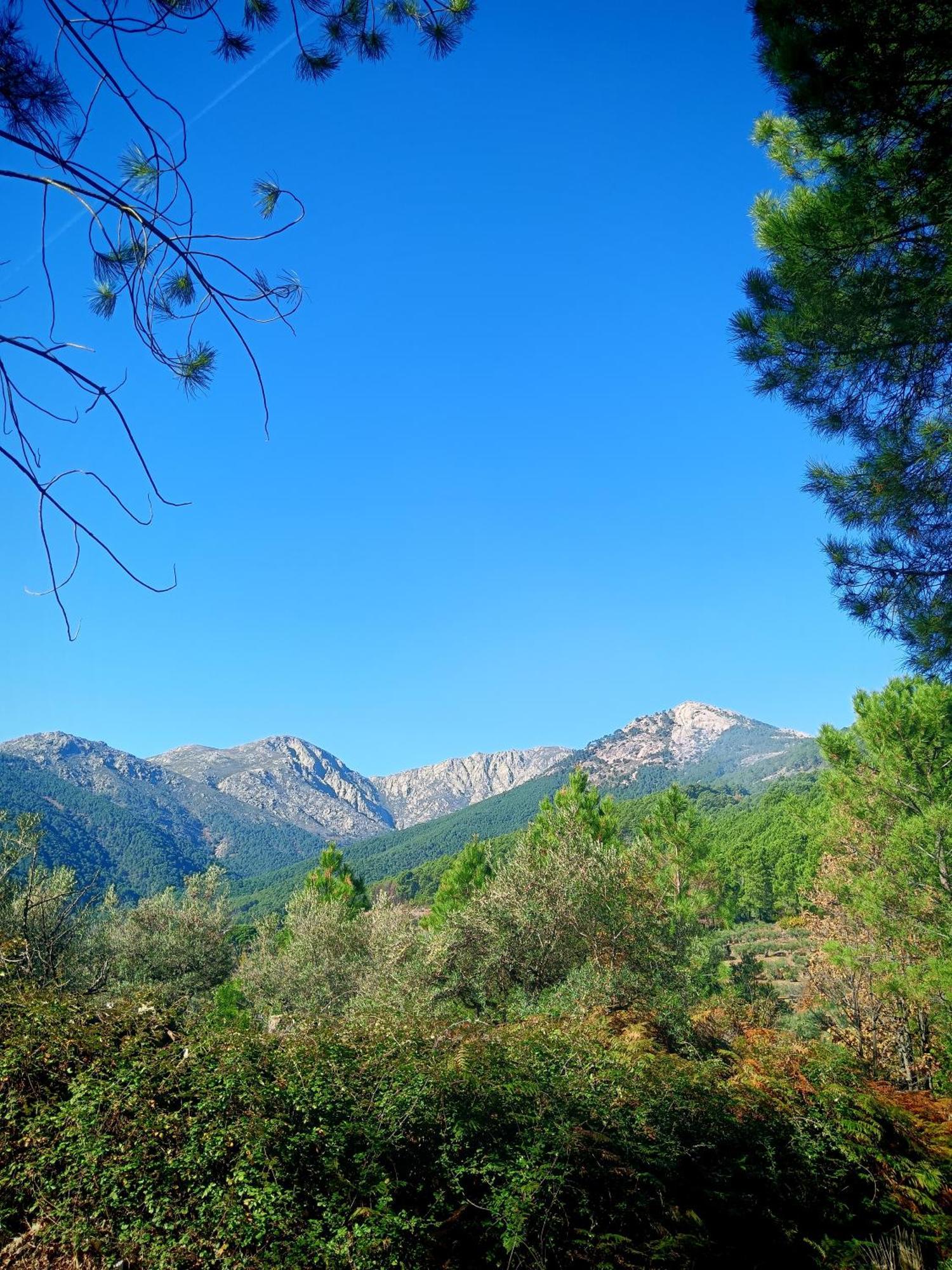 Estrellas De Gredos อาเรนัส เด ซานเปโดร ภายนอก รูปภาพ