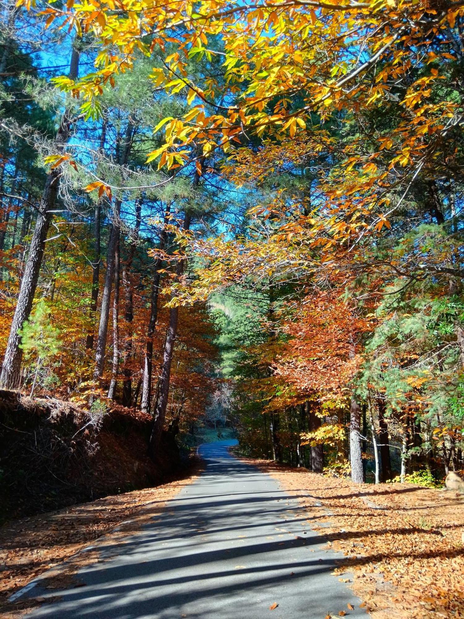 Estrellas De Gredos อาเรนัส เด ซานเปโดร ภายนอก รูปภาพ